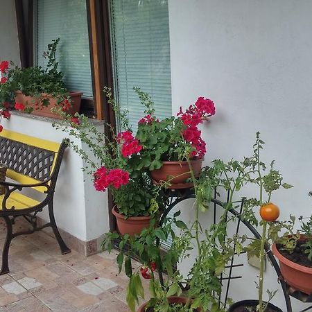 Darja Guesthouse Dob Ngoại thất bức ảnh