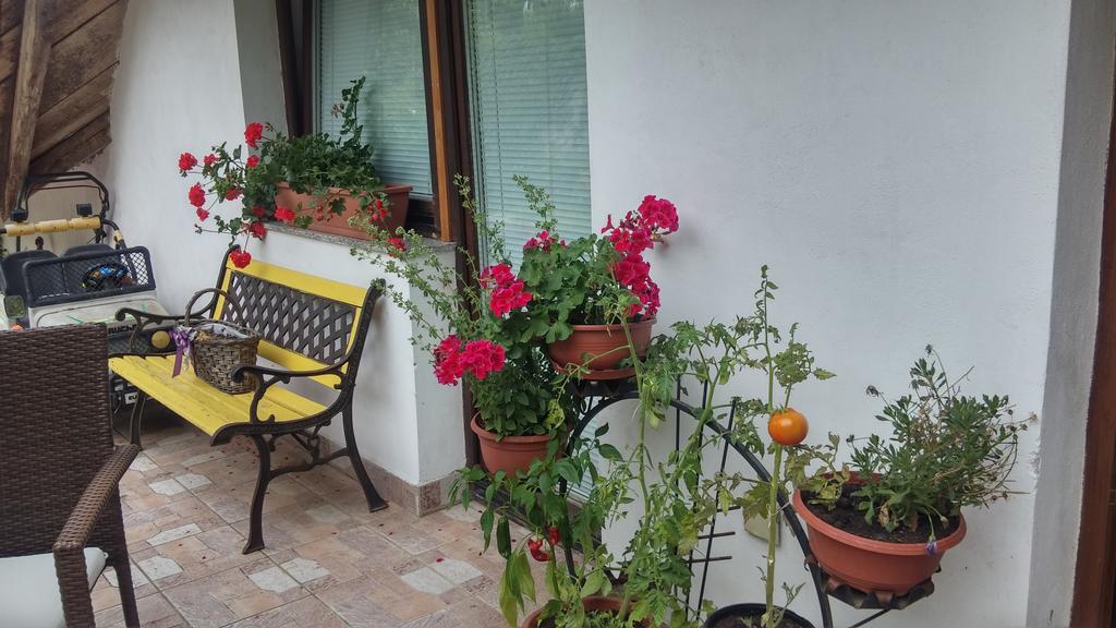 Darja Guesthouse Dob Ngoại thất bức ảnh